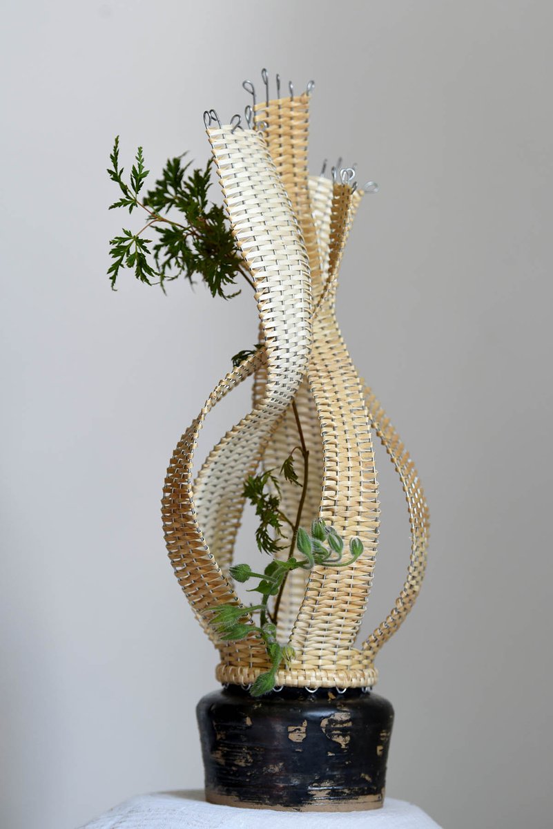 Galeriebild